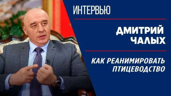 Птицеводство яичного направления: как развиваться без господдержки?