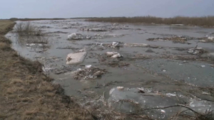 Под угрозой подтопления 65 сел Павлодарской области