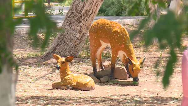 «Таза қала» атты жобада Қызылорда көш бастап тұр