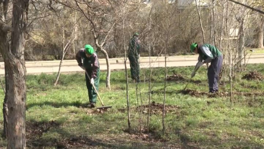 XXII сезон трудовых отрядов «Жасыл ел» стартовал в Актобе