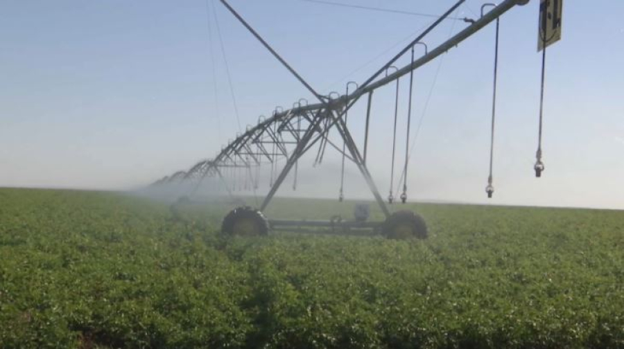 Казахстан завершает поливной сезон