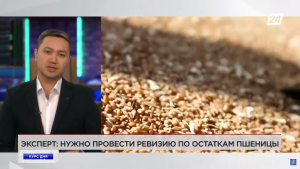 Эксперт: Нужно провести ревизию по остаткам пшеницы