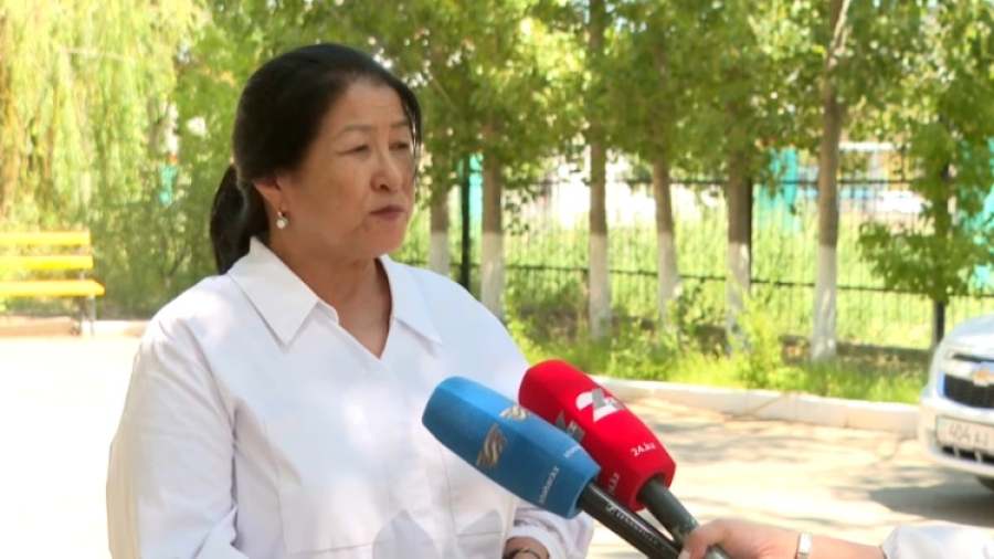 От укусов клещей пострадали 987 человек в Кызылординской области