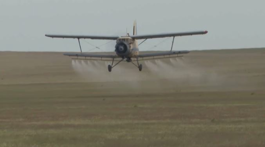 Малая авиация Туркестанской области подключилась к борьбе с саранчой