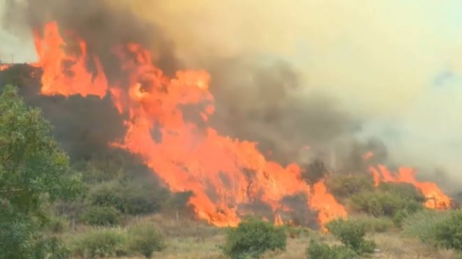 Түркияда орман өртінен 13 адам опат болды
