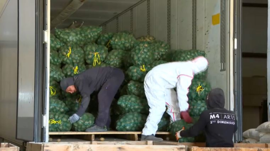 Стабфонд удерживает цены на продукты в Кызылординской области
