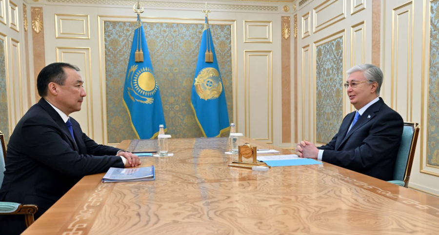 Глава государства принял министра транспорта Нурлана Сауранбаева