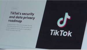 Великобритания запретит использование соцсети TikTok