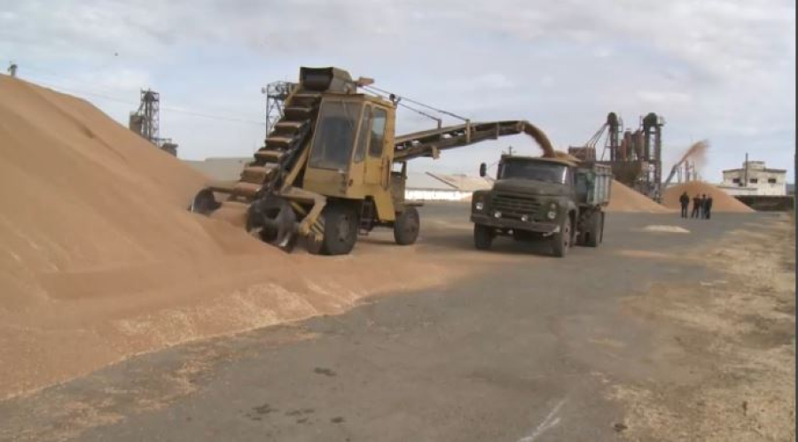 Түрік компаниялары агроөнеркәсіпке инвестиция құяды