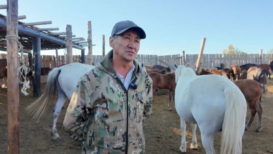 Амангелдінің қымызы Қазақстанның түкпір-түкпіріне жіберіледі