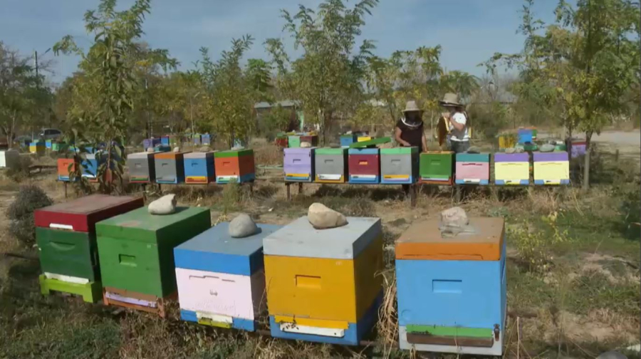 Отандық балға сұраныс жоғары