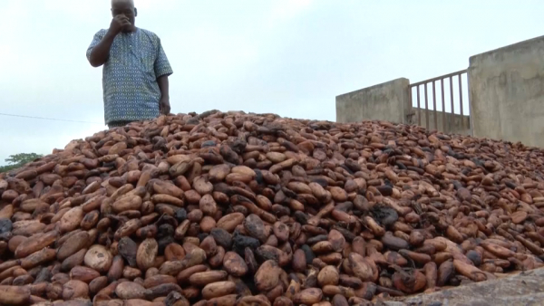 В мире усугубляется шоколадный кризис