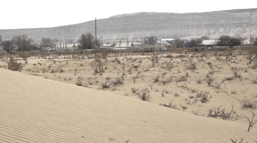 Маңғыстау облысында құмды бөгеуге қамыс қолданылады