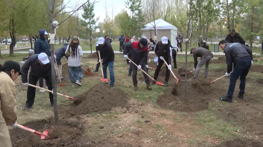 Ұлттық құрылтай мүшелері «Таза Қазақстан» акциясына қатысты