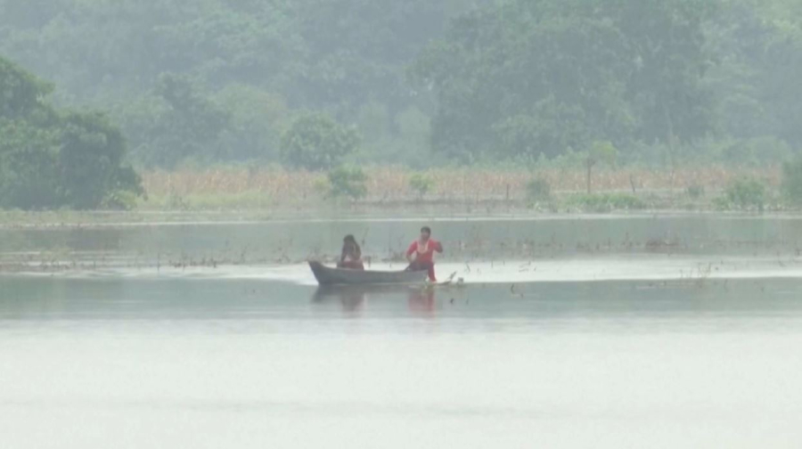 44 человека стали жертвами наводнений в Индии