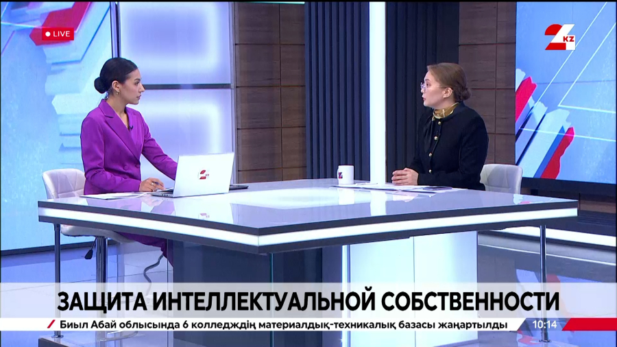 Защита интеллектуальной собственности. Жанерке Кочйигит