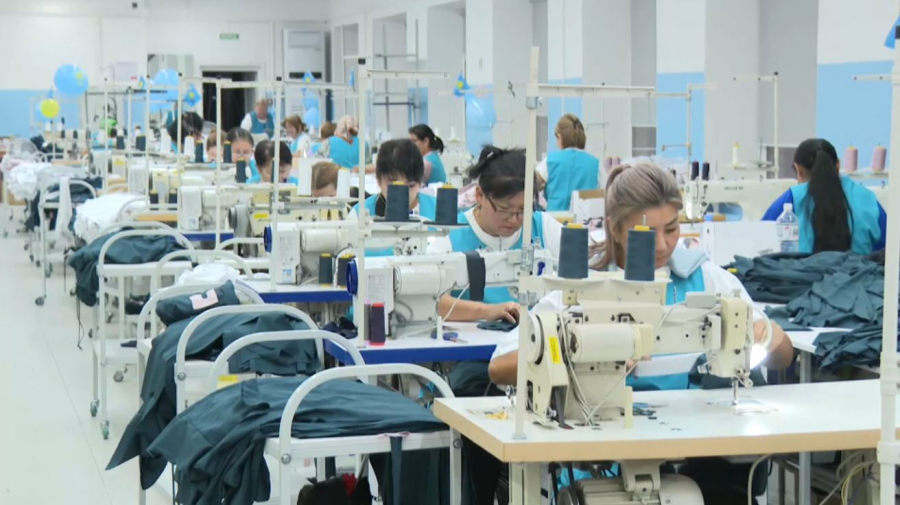 Более 350 млн теңге выделили на гранты для бизнеса в области Абай