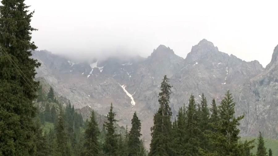 Құқық қорғау органдарының қызметкерлері тау шыңын бағындырды. LIVE