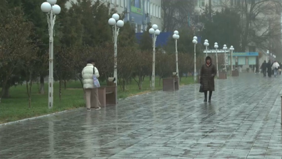 Дожди прогнозируют в 12 регионах Казахстана