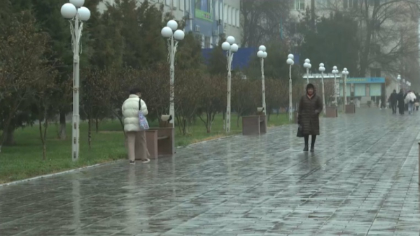 Дожди прогнозируют в 12 регионах Казахстана