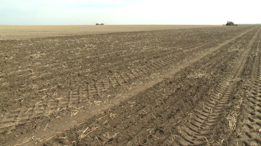 К посевной кампании готовятся аграрии Акмолинской области