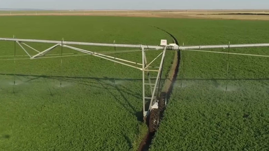 Ақтөбе облысында 865 мың гектар жерге дән себіледі