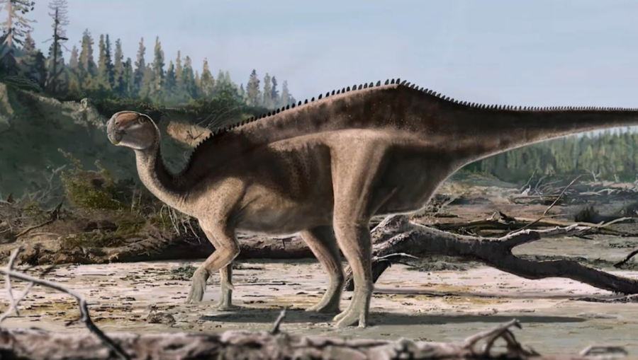 Британдық ғалымдар жаңа динозавр түрін тапты