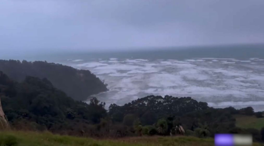 Жаңа Зеландияға «Вайану» дауылы келді