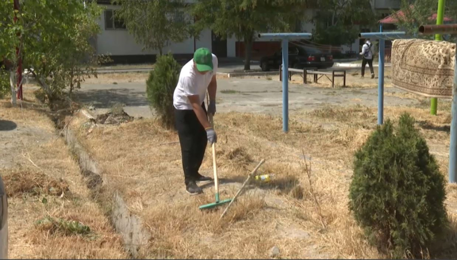 Жамбыл облысында 6 000 тоннадан астам қоқыс шығарылды