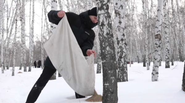 Петропавлда еріктілер жабайы аңдарға қамқор болып жүр