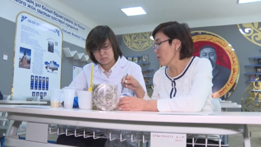 Школьница предложила экономичный способ высадки деревьев