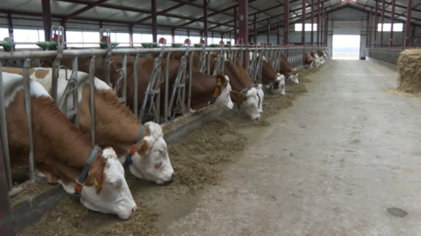 981 млрд тенге инвестиций вложили в сферу АПК