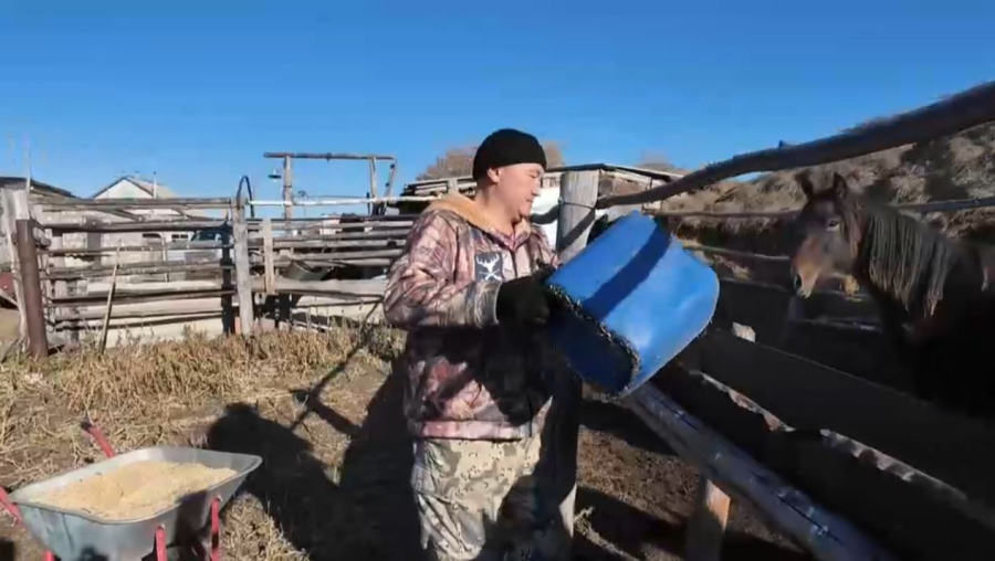 Қостанай облысында кеңседегі қызметін ата кәсіпке айырбастаған шаруа тұрады