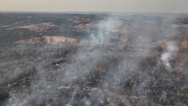 Крупнейший пожар в истории Техаса охватил больше 440 тысяч га