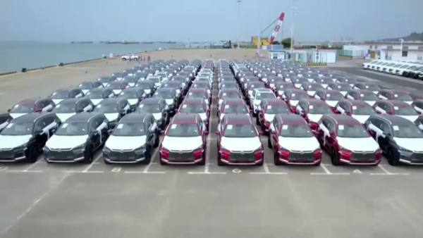 Tesla сократила производство машин в КНР