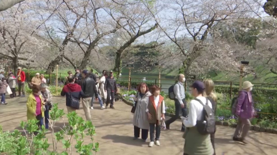 Население Японии за год сократилось на 900 тысяч