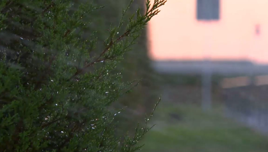 Қызылордада жасыл желекті суару жүйесі автоматтандырылды