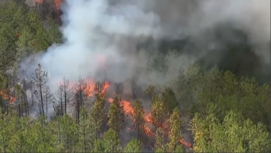 Түркияда 88 жылда 2 млн гектар жер жанып кетті