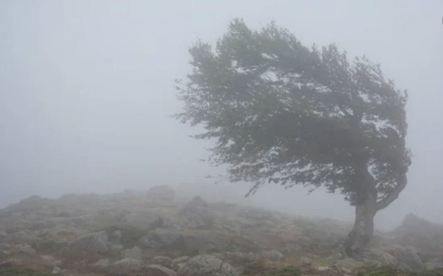 Сильный ветер, туман и пыльную бурю прогнозируют в Казахстане