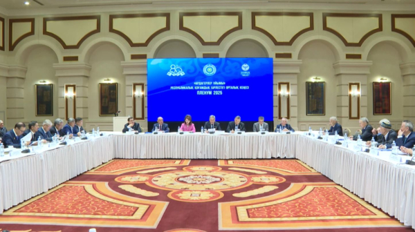 200 мероприятий по всей стране: как Казахстане отметит 80-летие Победы