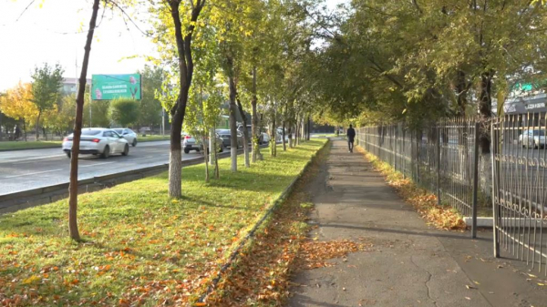 Какая погода ожидается на этой неделе в Казахстане