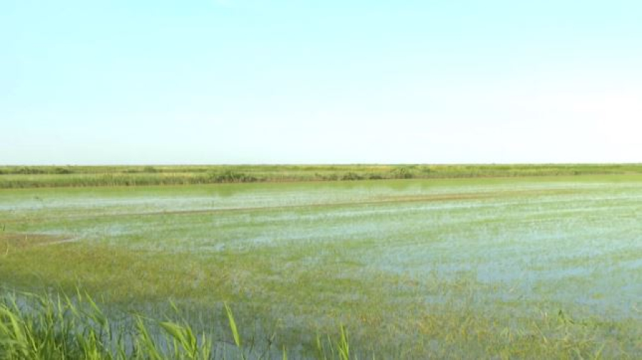 357 водных насосов приобрели для хозяйств Кызылординской области