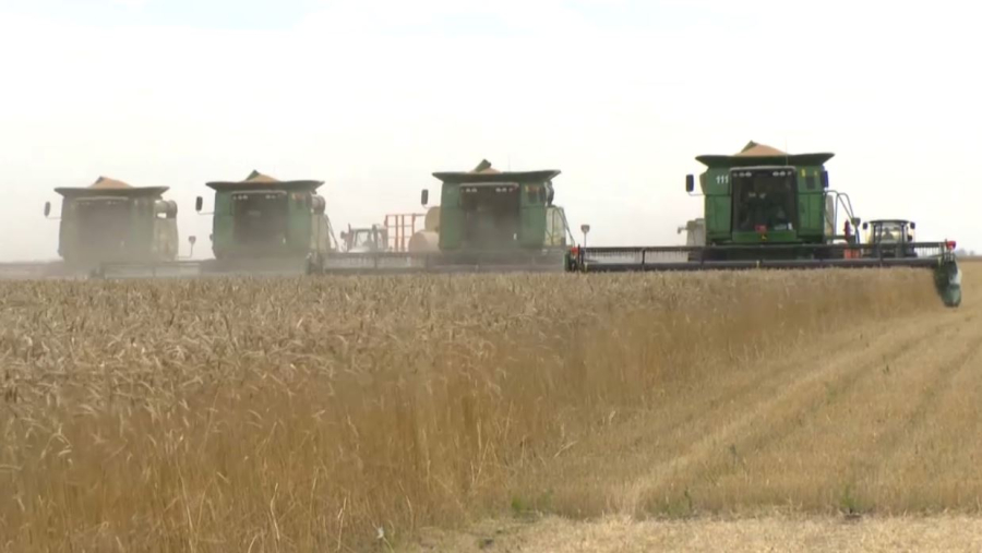 Биыл егістікке бөлінген қаржы көлемі рекорд жаңартты