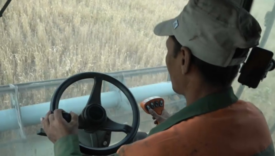 Уборку озимых культур завершили в ЗКО