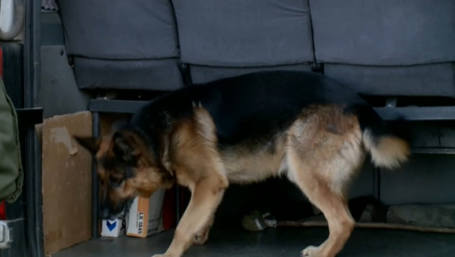 На границе РК пресекли 60 попыток провоза оружия и боеприпасов