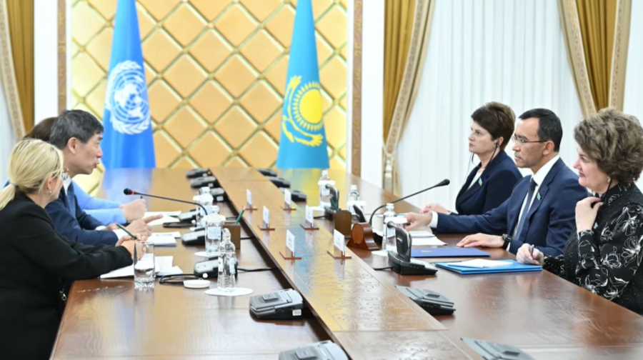 Сенат төрағасы БҰҰ Бас хатшысының орынбасарымен жүздесті