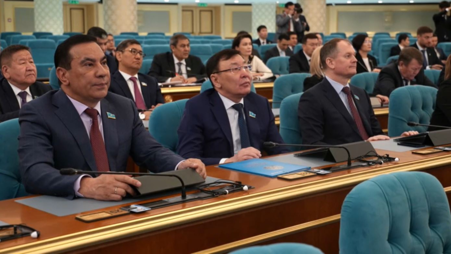 Сенаторлар Алатауды дамыту жолын айтты