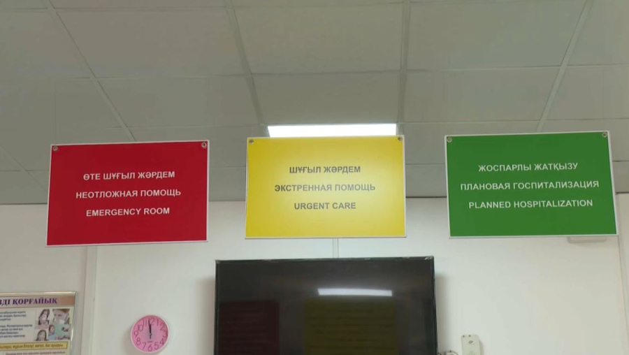 Шымкентте қарақұрт шаққан 5 адам дәрігер көмегіне жүгінді