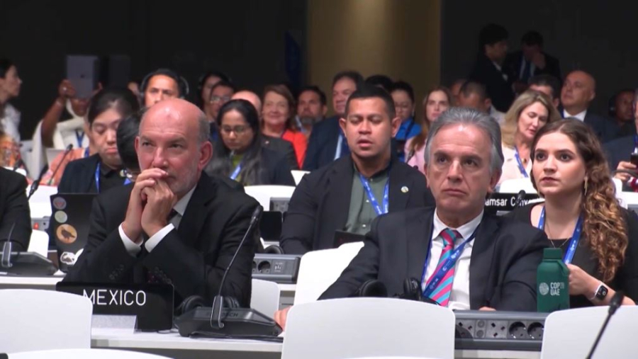 Астана примет Региональный экологический саммит