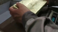 Незаконную добычу золотосодержащей руды пресекли в Акмолинской области